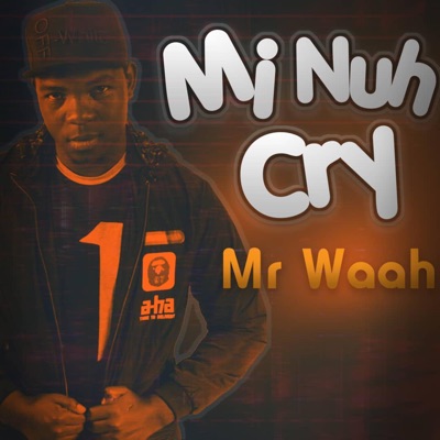 Mi Nuh Cry - Single