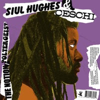 Drkwlkr 7 Inch - Single - Siul Hughes & Ceschi
