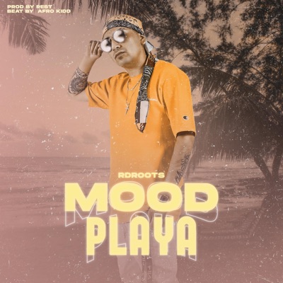 Mood Playa (feat. Afrokidd) - Single