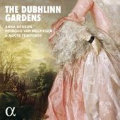 The Dubhlinn Gardens artwork