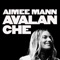 Avalanche - Aimee Mann lyrics