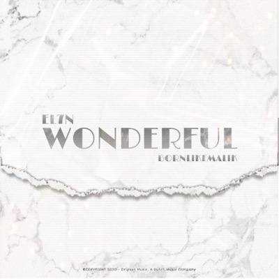Wonderful (feat. Bornlikemalik) - Single