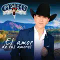 El Amor De Tus Amores