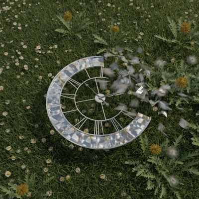 Lost Time (feat. Rxseboy) - Single
