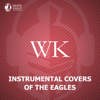 Instrumental Covers of the Eagles - White Knight Instrumental