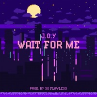 Wait For Me - Single - JOY & So Flawless