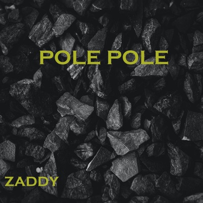 Pole Pole - Single