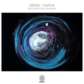 Swans (Dave Dk Remix) artwork