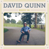 David Quinn - Cryin' Shame