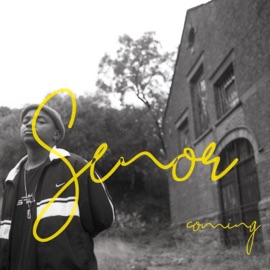 Still Chilling (feat. K.Set, PrimeEzy & Ohmz) Lee-Roy