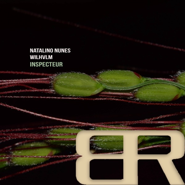 Inspecteur - Single