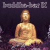 Grant Lee Phillips As the Day Breaks (feat. Grant Lee Phillips) [Montreal Remix] Buddha Bar IX