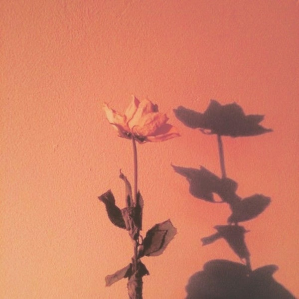 I Can't Fight This (feat. Ivri) - Single
