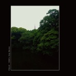 Falls - Single