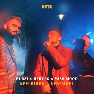 Nem bírok a véremmel (feat. Herceg & Miss Mood) - Single