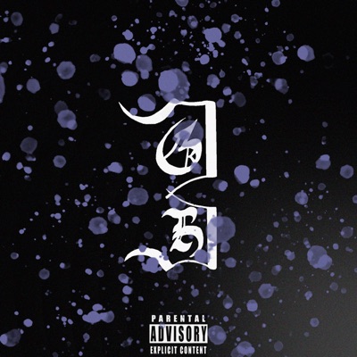 Web$Cam - Single
