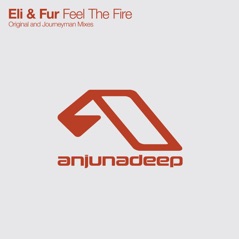 Feel the Fire - Single
