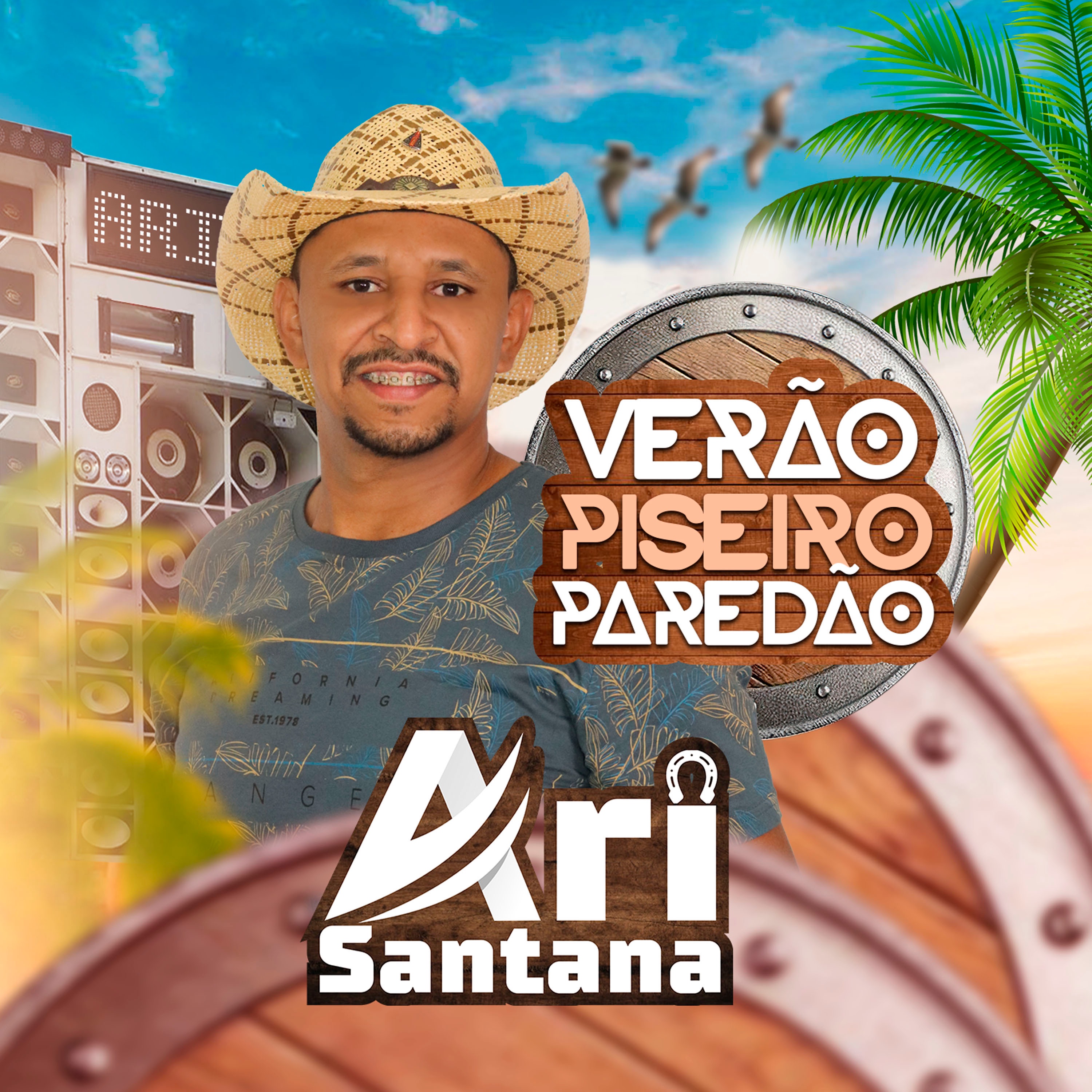 Verão Piseiro Paredão