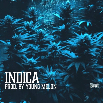 Indica - Single