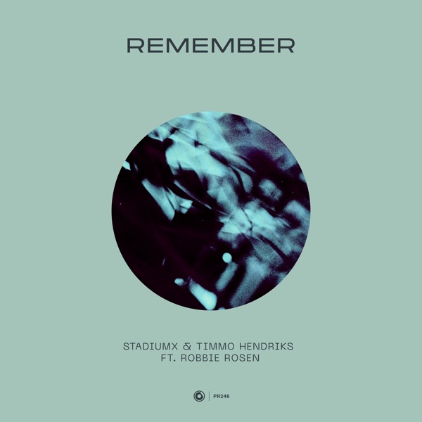Remember (feat. Robbie Rosen) - Single