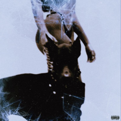 Cerberus Cypher - Single