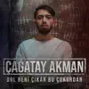 Bul Beni Cikar Bu Cukurdan