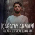 Bul Beni Cikar Bu Cukurdan