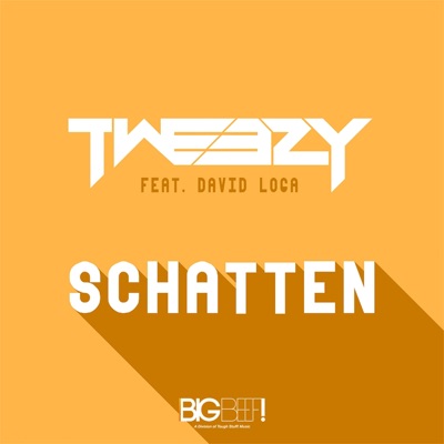 Schatten (feat. David Loga) - Single