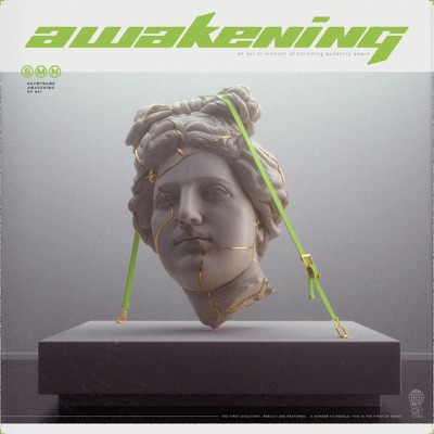 Awakening - Single