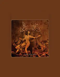 聆聽 Spectral Domination、觀看音樂影片、閱讀小傳、查看巡演日期等！