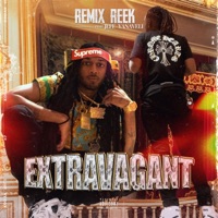 Extravagant (feat. Jefe Yanaveli) - Single - ReMix Reek