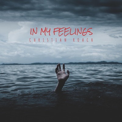 In My Feelings - Single