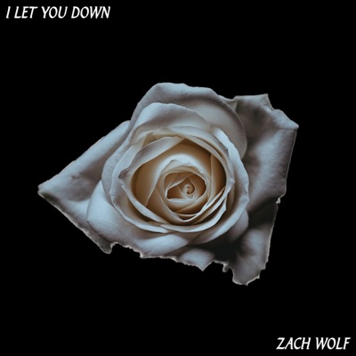 I Let You Down - Single