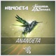 Anandeta Single