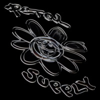 Make It Real - Single - Petal Supply