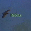 Niekas - Katarsis