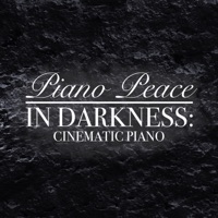 Album cover for Empire of the Sun by Piano Peace