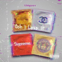 Ooh I Love It (feat. Murda Beatz) - Single - Shaquees