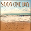 Soon One Day (feat. Lisa La'Shay & Trinity Zion) - Single