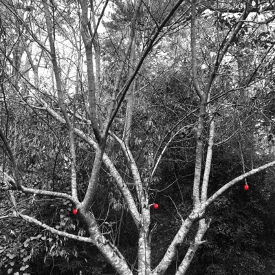 Knew Tape, Vol. 1: Genesis