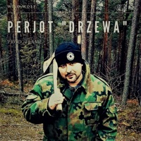 Drzewa (prod. FLAME) - Single - Perjot