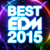 BEST EDM 2015 - Various Artists