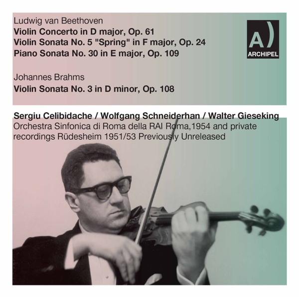 Beethoven & Brahms: Works for Violin & Piano (Live)