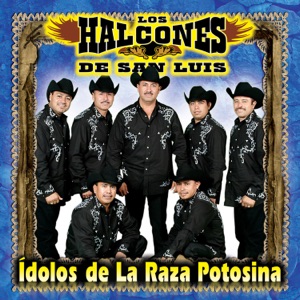 Ídolos de la Raza Potosina - Single