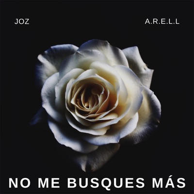 No Me Busques Más (feat. A.R.E.L.L) - Single