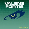 Valens Fortis, Vol. 1, 2014