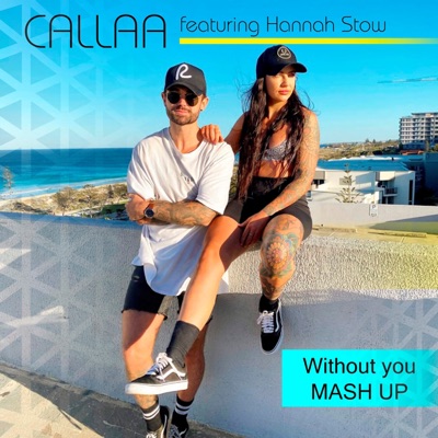 Without You Mash Up - Single