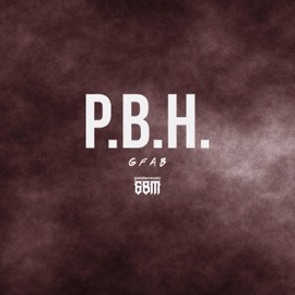 P.B.H. Gfab