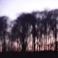 Horizons