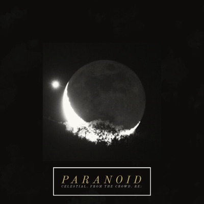 Paranoid - Single